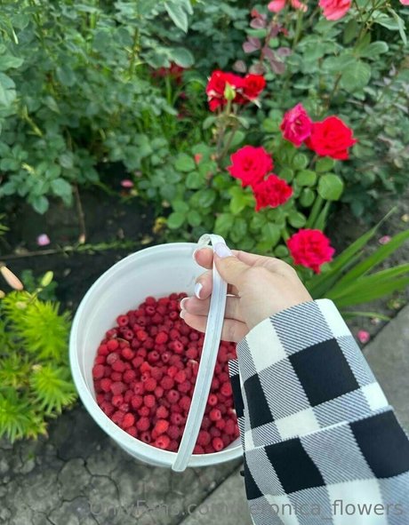 veronica flowers erotic actress image