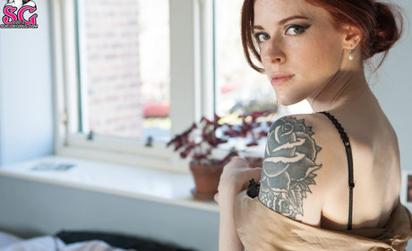 gym shorts onlyfans art xxx galleries