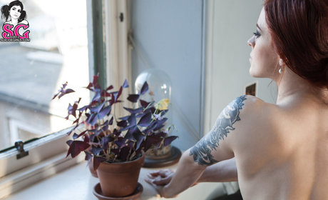 Annalee perfect actress image