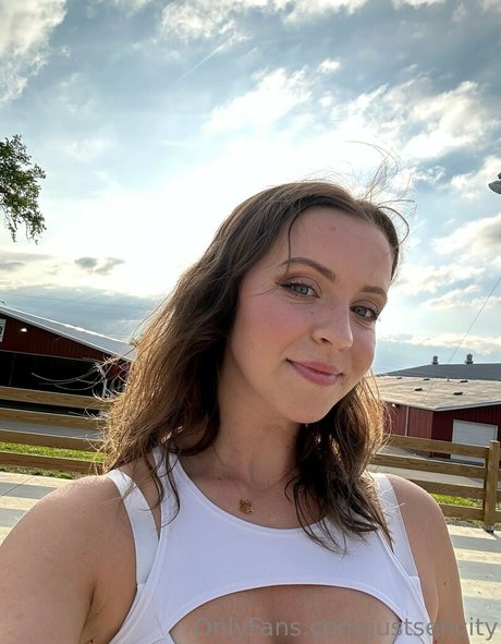 Sen City high quality model gallery