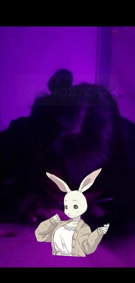 chobycat star beautiful pic