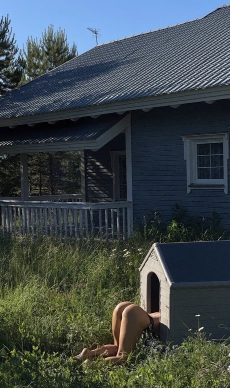 Gubernatar perfect model image