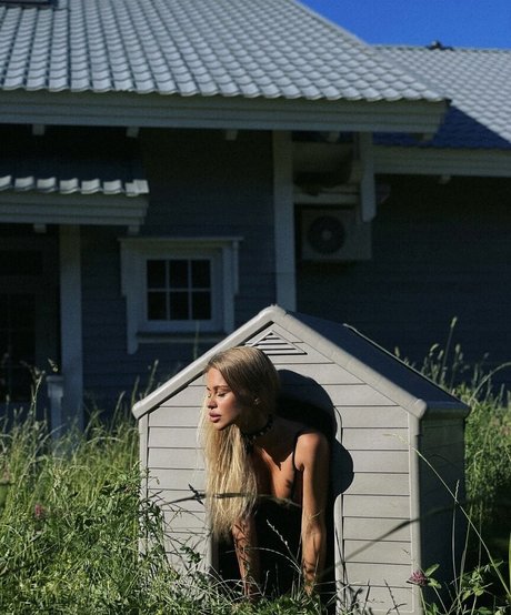 Gubernatar star xxx galleries