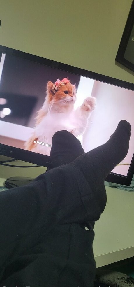 packdopedaingrid best model archive