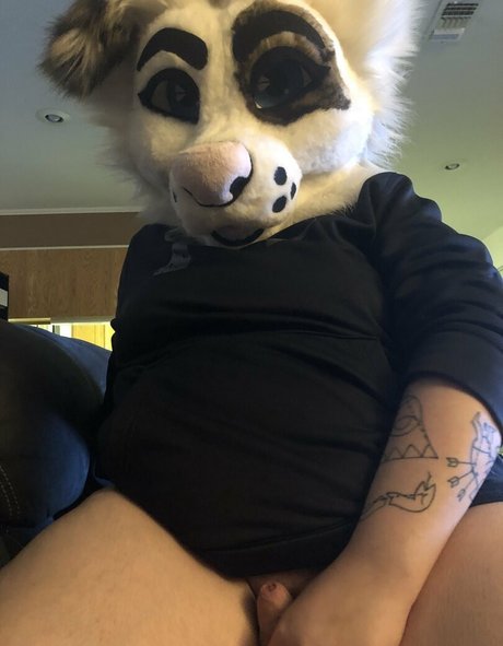 saoirsemutt pornstar sex picture