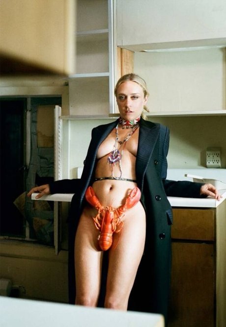 Chloe Sevigny pornographic model photo
