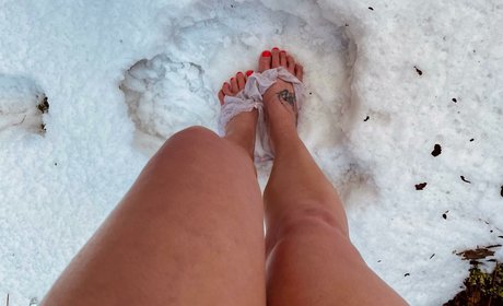 BaileyBrews model top picture