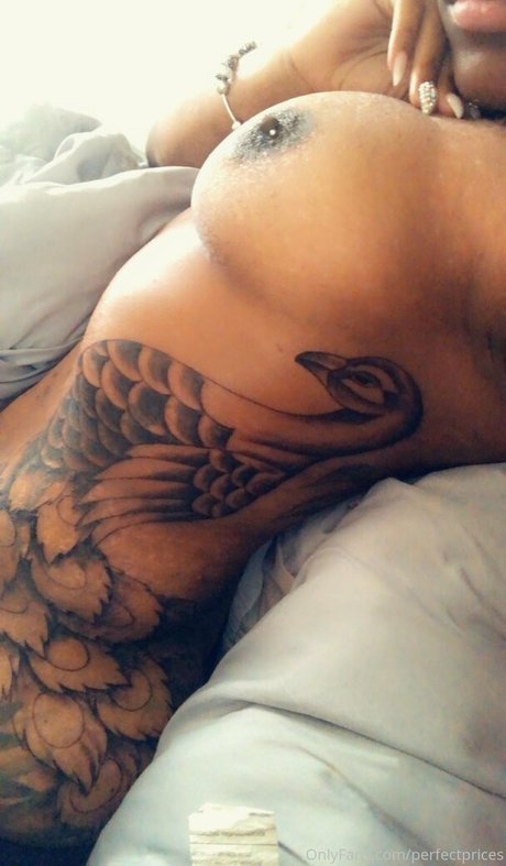 perfectprices best star archive