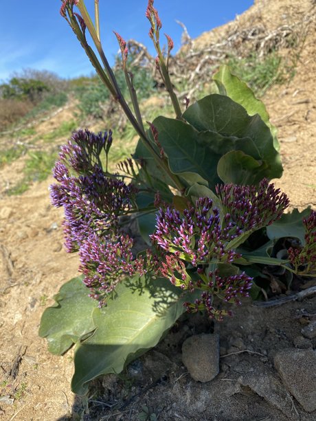 Fun fun pornstar erotic images