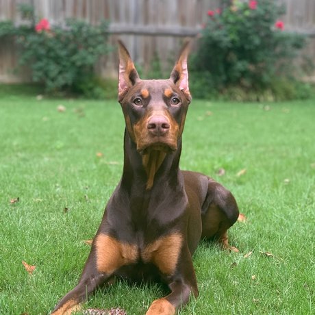 Knox amp ampBear erotic actress pics