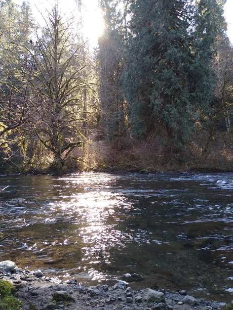 Quincy Quiet sex pornstar gallery