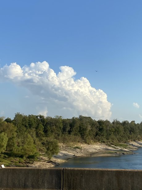 Kevin Lee Nettles star pretty photo