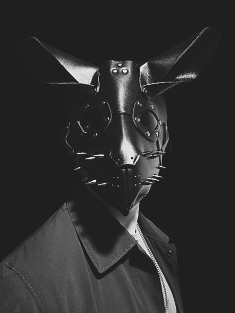 Bunny Dark star pretty archive