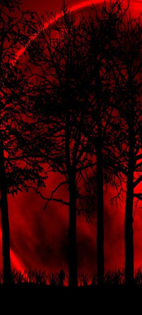 Karli Venom art star pics