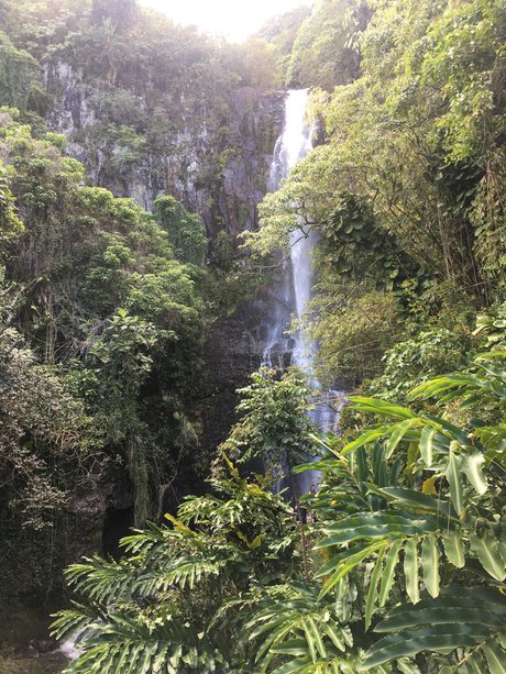 John Smith model free picture