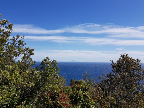 Mrmassi hd model photo