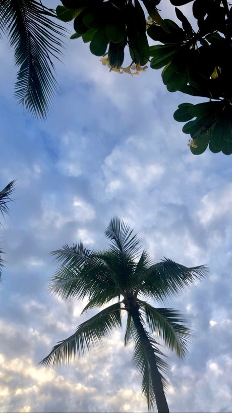 Kendall Kate model pornographic pictures