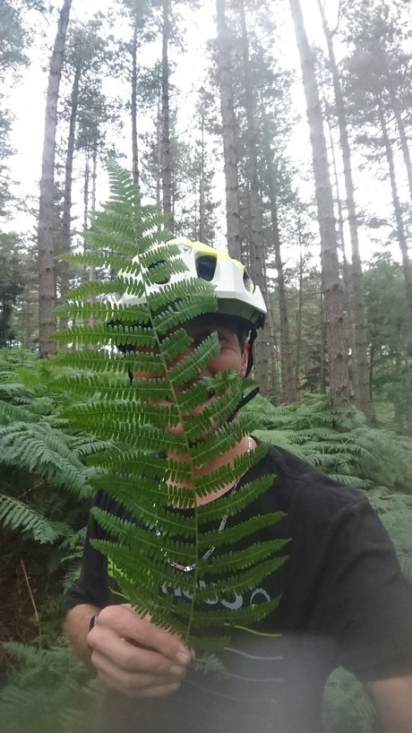 Daz for fun pornstar pictures