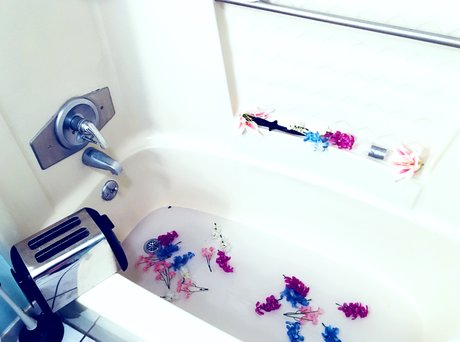 Moxie McKaye nice star archive