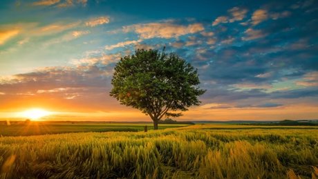 Mercedes Blanche beautiful pornstar pictures