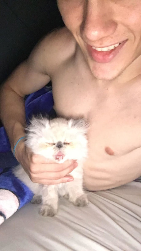 batatinha123 pretty star pic