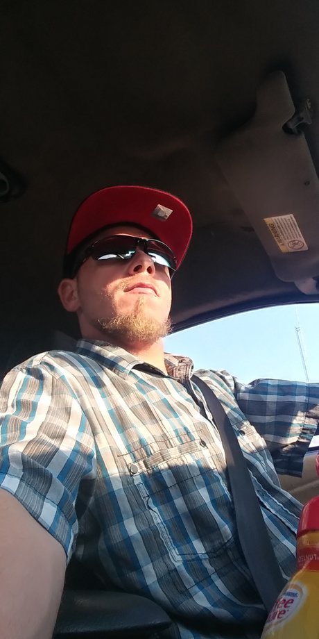 PAF DOG ENT adult star gallery