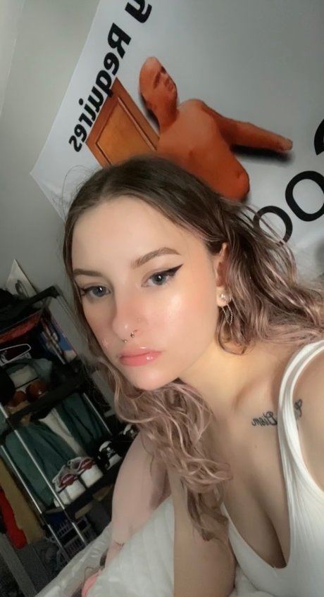 Naur beautiful star galleries