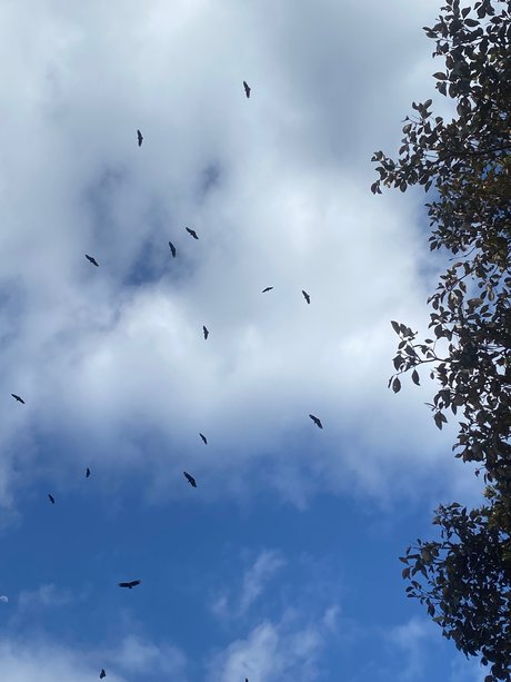 01Cinamondark model exclusive pictures