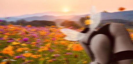 Refia beautiful pornstar image