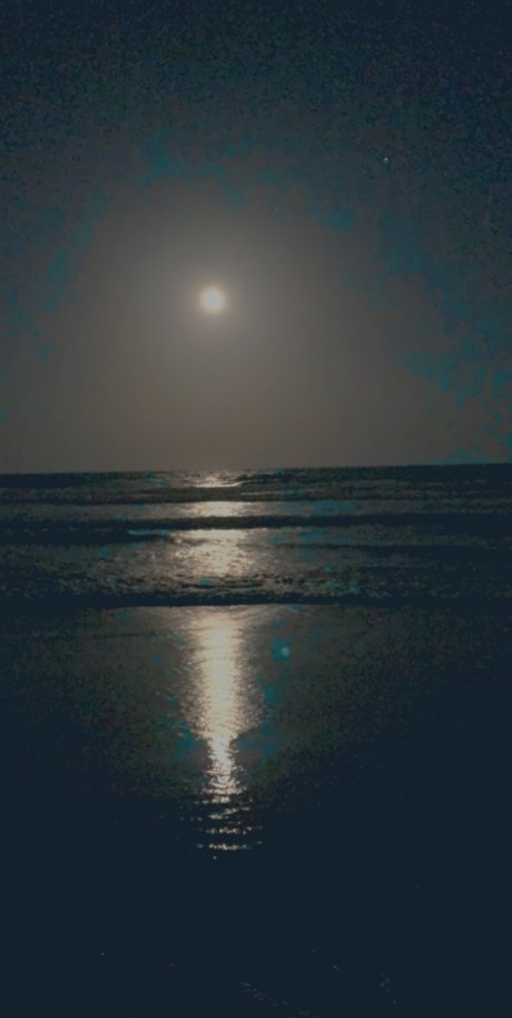 Just Jess star beautiful image