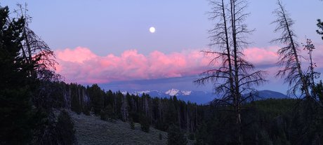 Jt3111 star pretty gallery