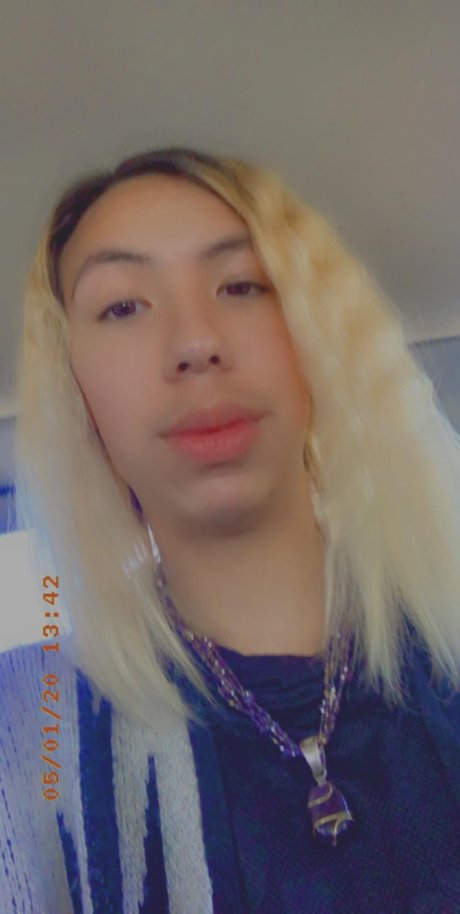 luis zatarain star adult archive