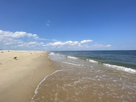 Jurriaan de Vries model hd pics