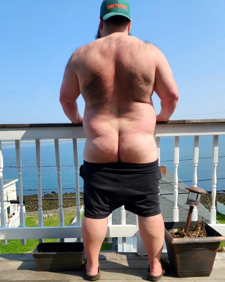 AlphaMuscleGut model gallery