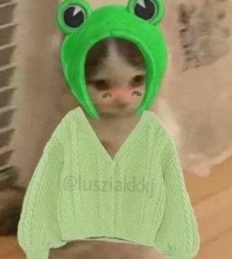 NardoWick model adult pics