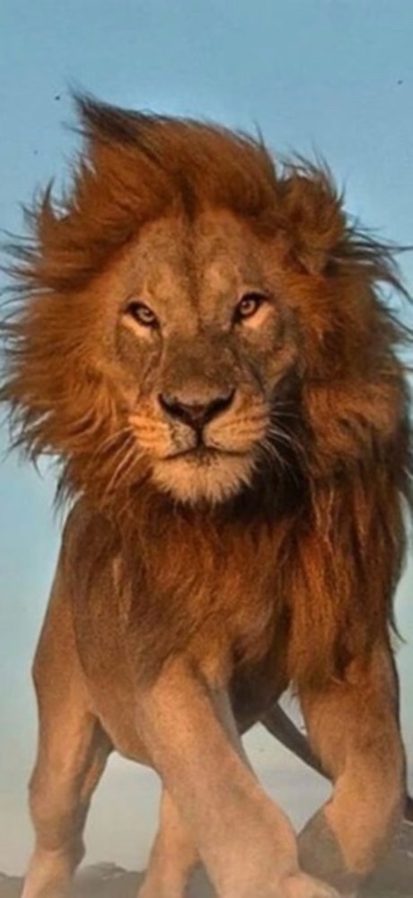 Lionel77 beautiful actress photos