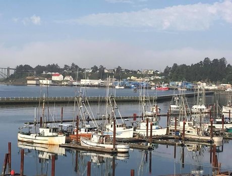 MyMichelle hd actress img