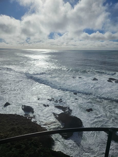 CD Juicy D top star pic