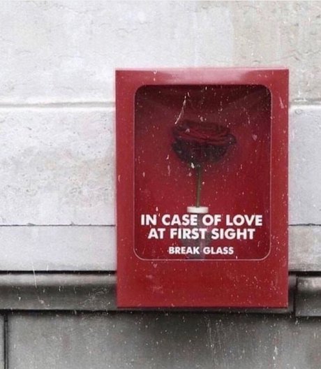 Nicu Iulian nude star pics