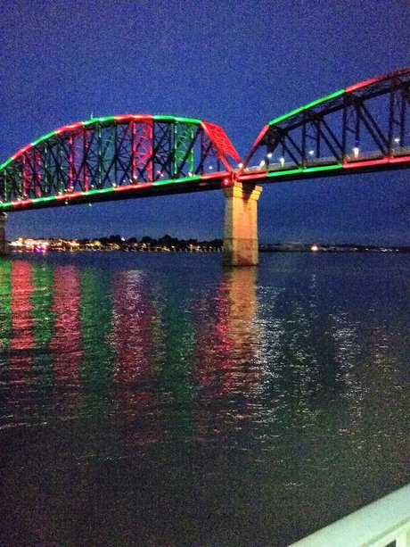 David White porn star img