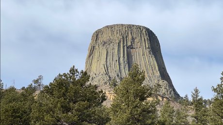 Tony amp ampTommy star xxx image