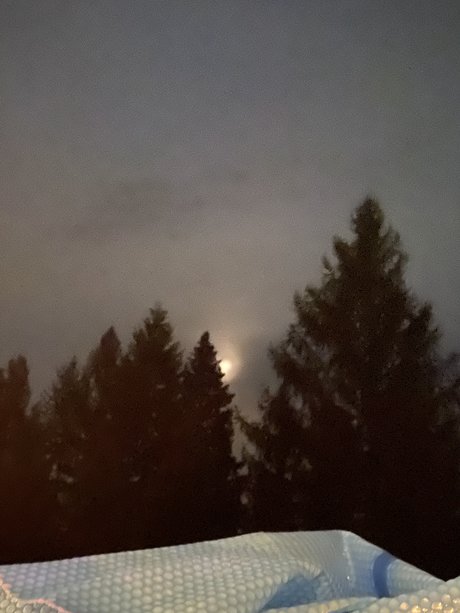 Dial A Doll xxx star img