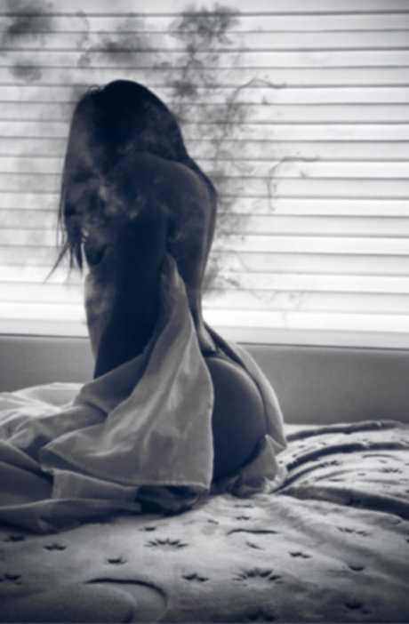 Michelle Palacios star pornographic archive