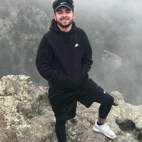 tristan art star pics