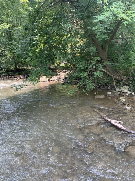 Twink3119 model pornographic archive