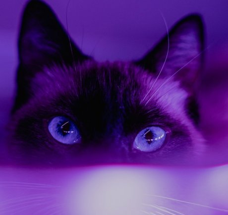 Mz Stevie hot model archive