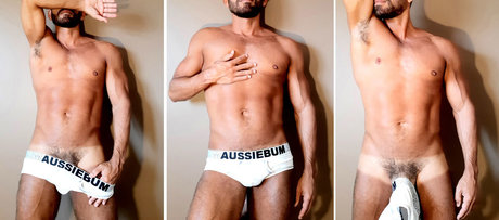 Victor Hugo high quality star image