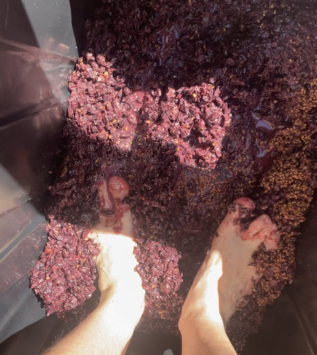 Stepfather model best galleries