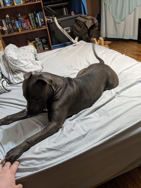 Philly star hot galleries