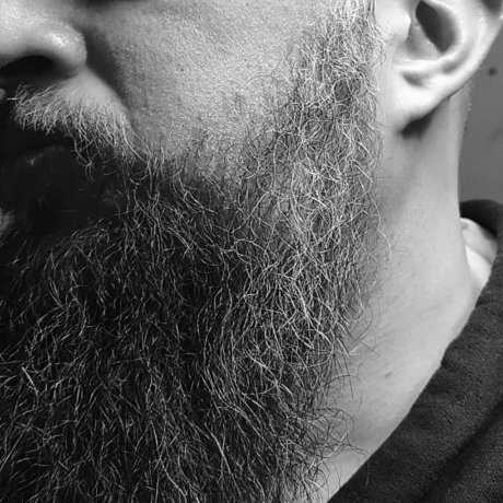 KePaZZa pornstar galleries